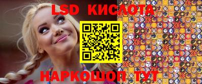 стаф Свободный