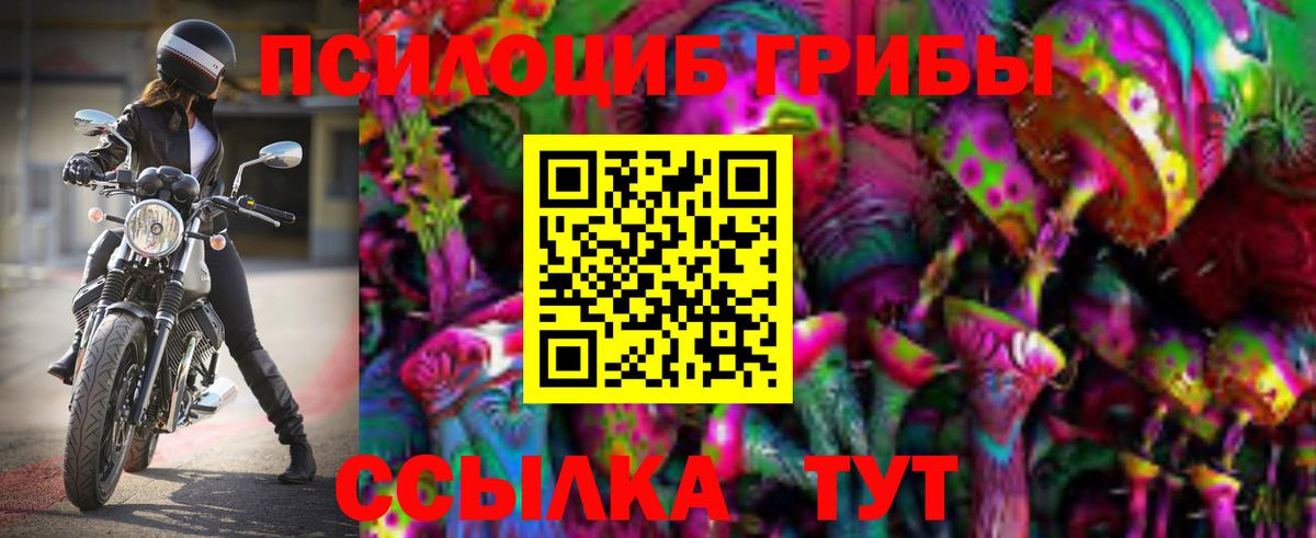 Псилоцибиновые грибы MAGIC MUSHROOMS  Вход с VPN  магазин продажи   Рославль 